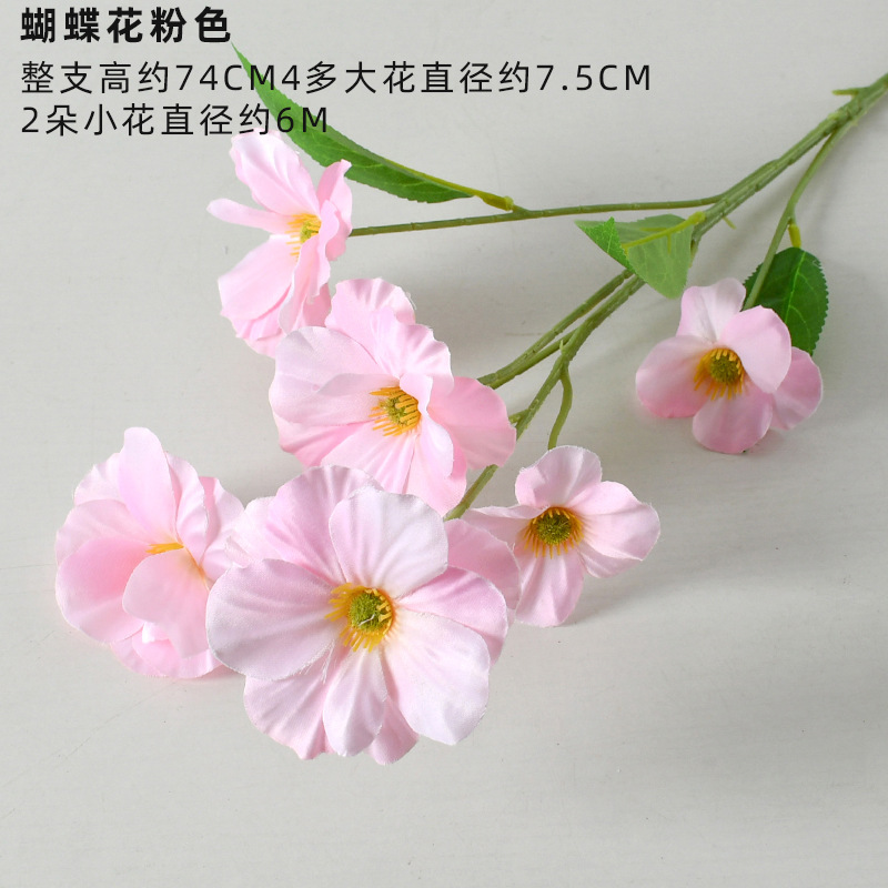 Orquídea Mariposa de 6 Cabezas, Rosa