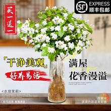 ˮ���������Ԏ������̨�҃Ⱥ��B�d�ӻ��ܾGֲ�ļ��k������ֲ��