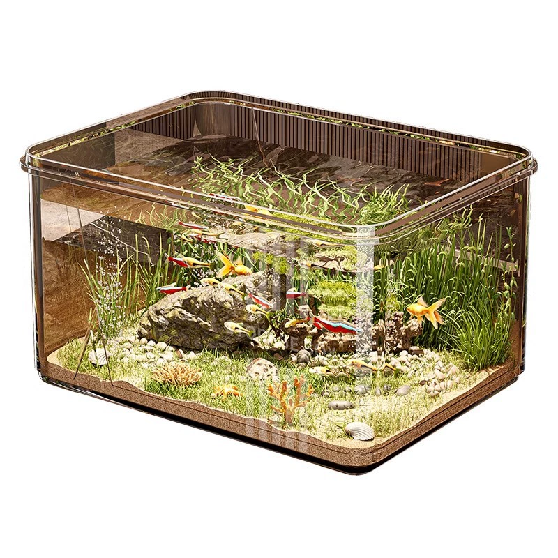 Transparent small square acrylic aquarium for office
