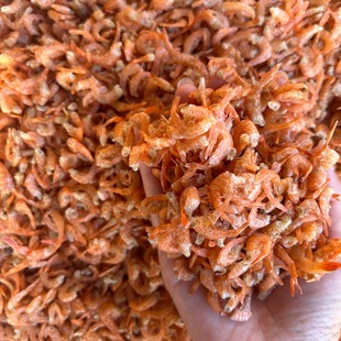 С���r���rβ�����خaȥ�^�o�}С���r��؛�r���ԕ��rβ�r�ʸ����l