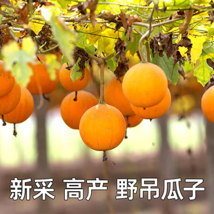 �¹��V�N�ӵ���������ǹ����컨�����~�����ļ������в�ș�ķN��