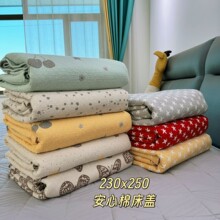 加大尺寸230*250cm安心棉四季床盖高温砂洗四层纯棉艺术毯炕毯