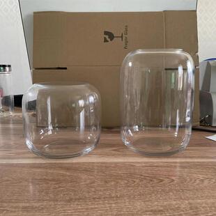 Simple Creative Glass Transparent Vase Hydroponic Fish Tank Micro Landscape Glassware Bottle Fleshy Plant Tree of Life