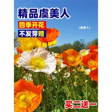 �����˻��N���u�ļ����N�_������ͥԺ��۹��N��������̫ꖻ��N��