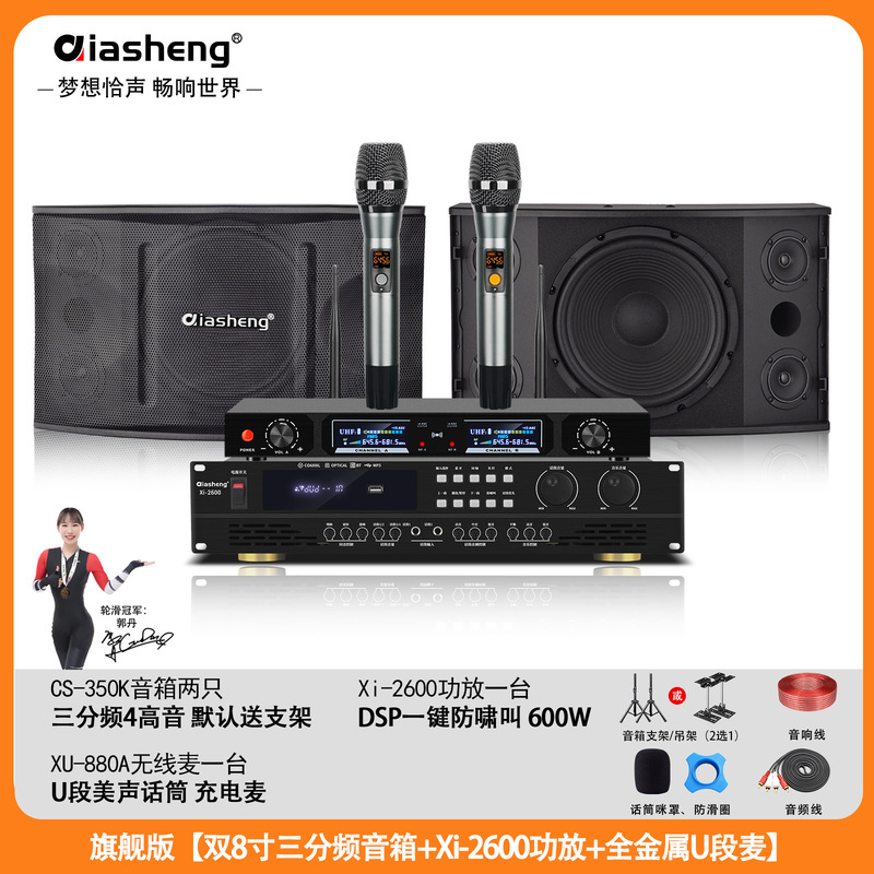 QIASHENG 家庭KTV音响套装卡拉OK点歌机专业音箱全套K歌影院设备|undefined