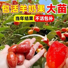 ���̹���޽������ش����������̹�����������������ϱ���ͥԺ