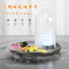 透明玻璃烟熏罩意境菜分子料理保温菜罩创意酒店餐具高硼硅烟熏|ru