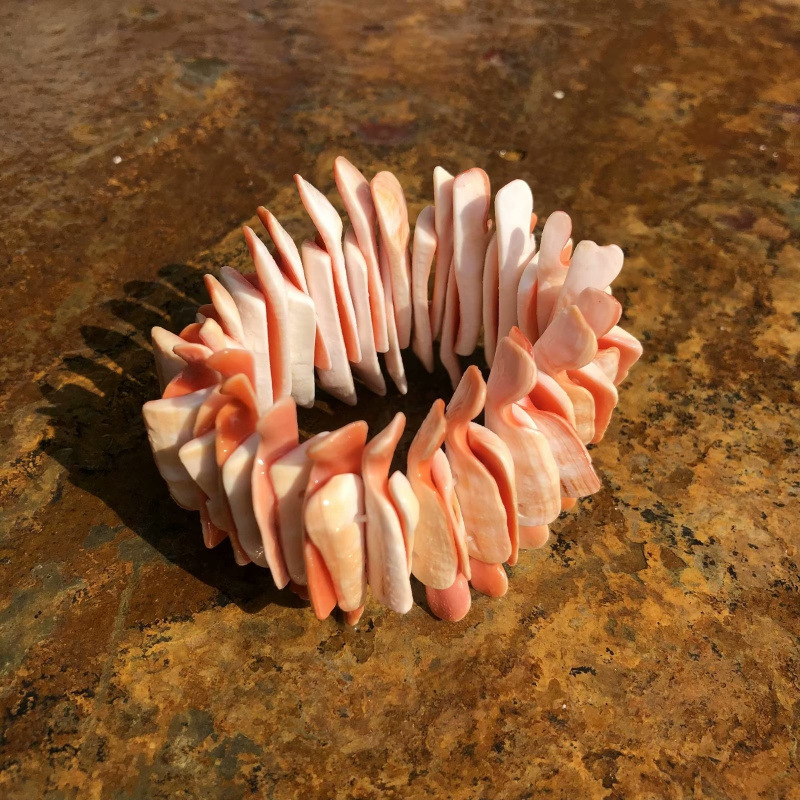 Conchas naturales conchas pulseras collares diy fresco versátil joyería correa de mano tienda artesanía característica fuente