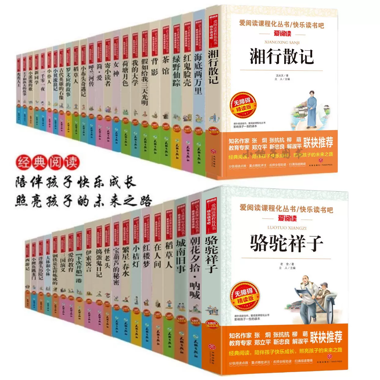 八成新处理书爱阅读无障碍精读版课程化丛书系列全套快乐读书吧