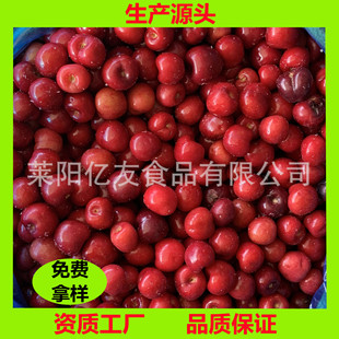 �F؛���l ���˃������ �t����� �������