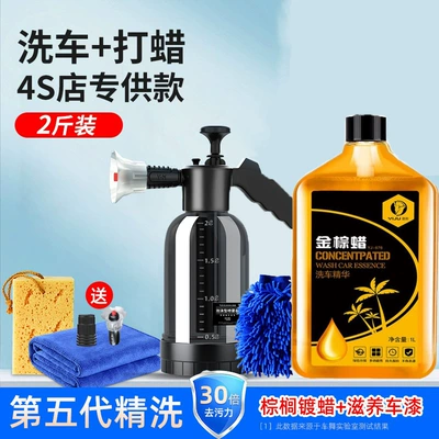 for Car Wash Spray Spray Spray | Car cleaning tools - high-pressure-watering-can-upgraded-double-nozzles-1l-water-wax-car-wash-gloves-sponge-towel