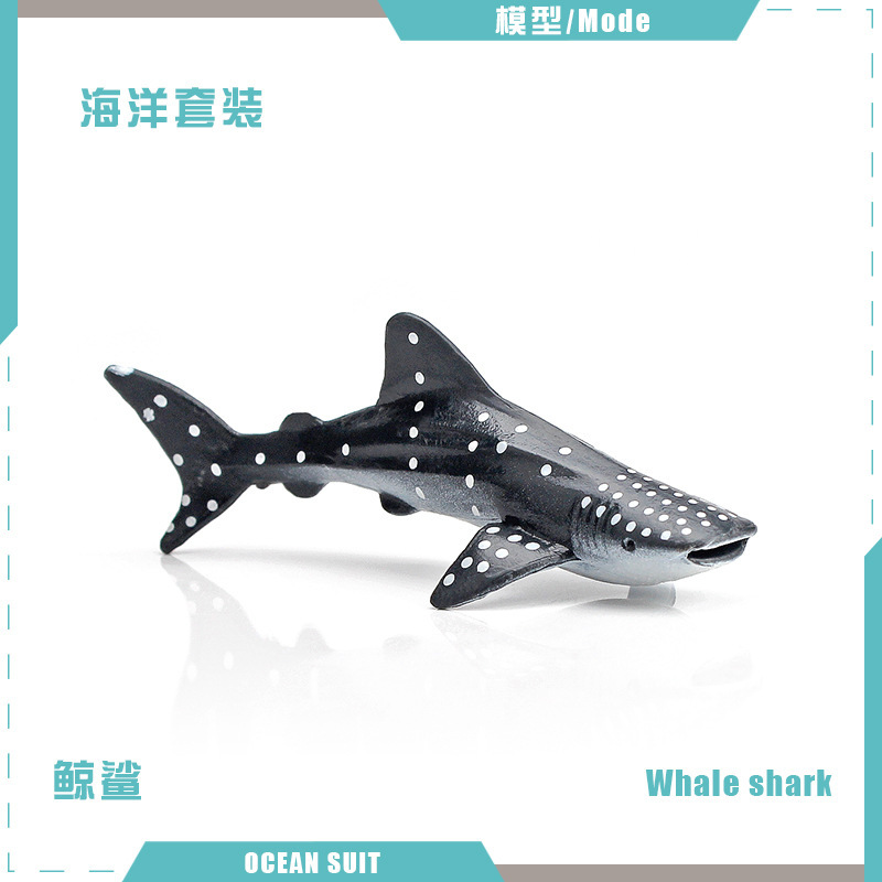 Tiburón ballena BL-5052 6G