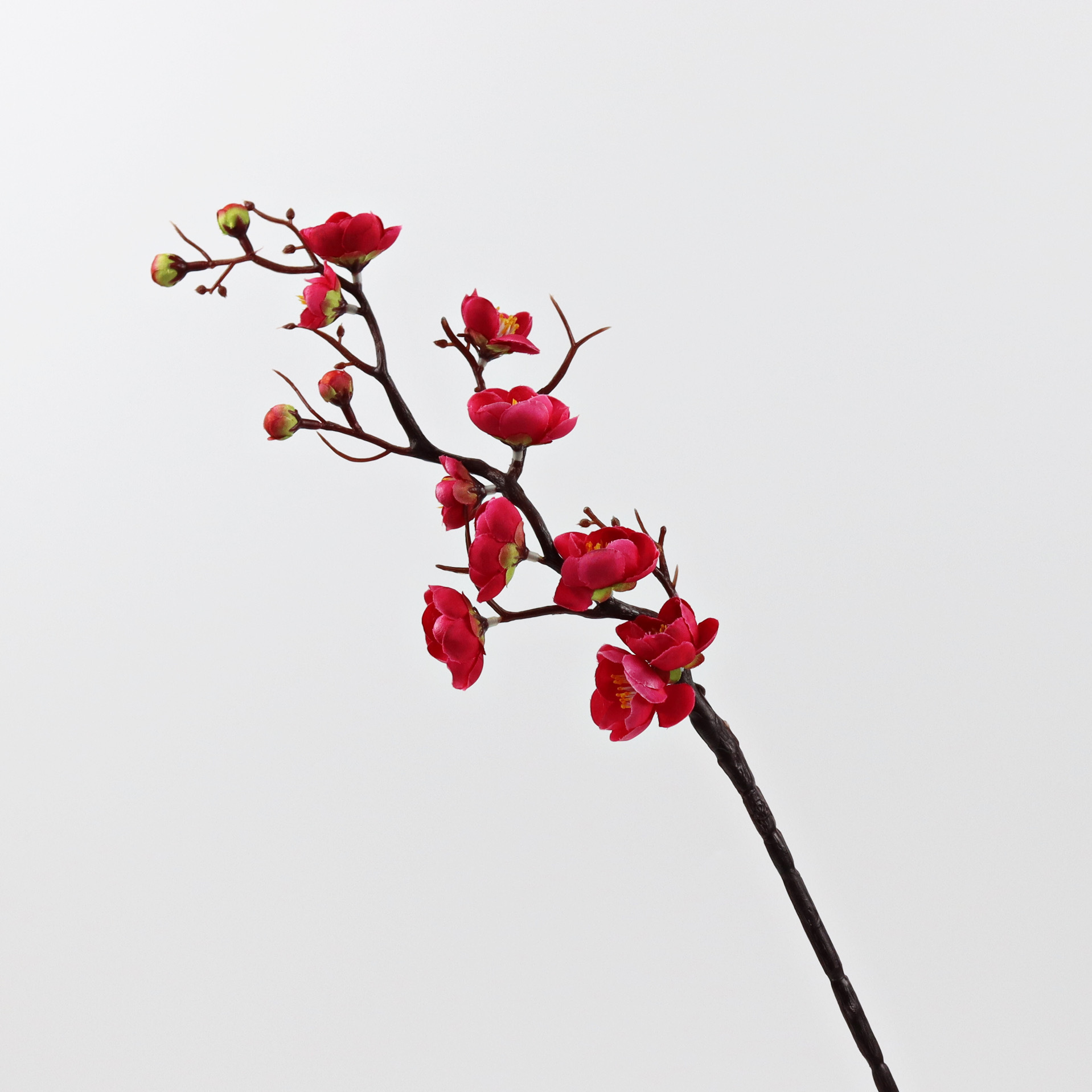 매화 장미 빨강 (높이 60cm )