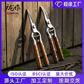 家用剪刀;厨用剪刀;修枝剪