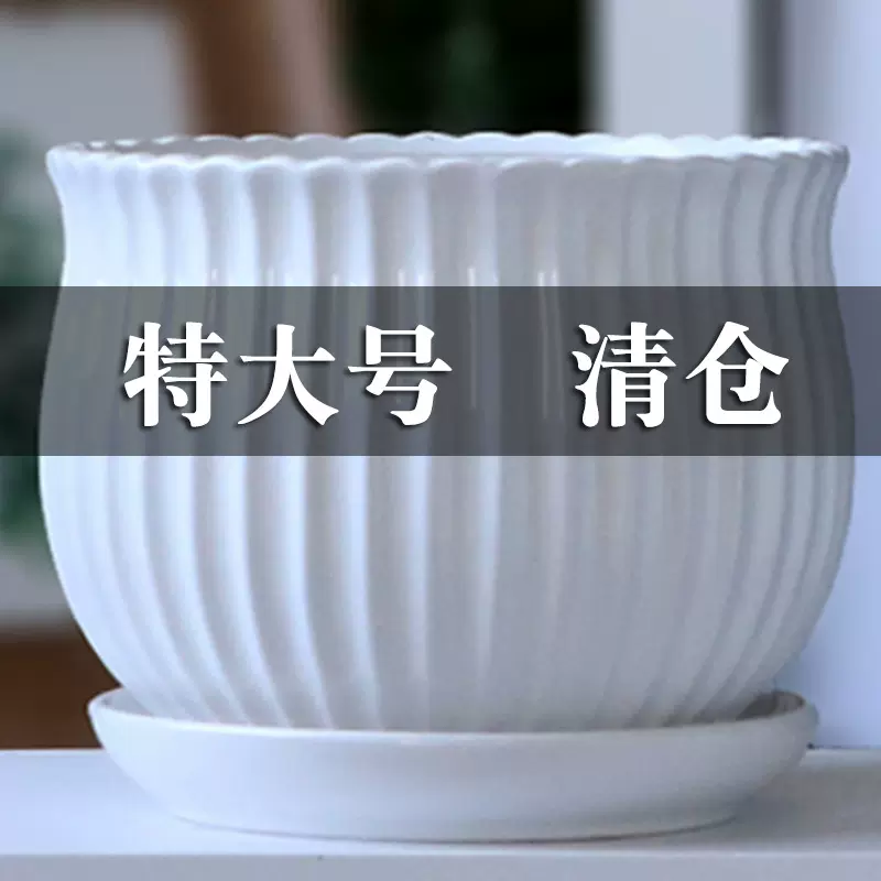 花瓶陶瓷种花盆大号漂亮的特大号创意多肉室内家用吊兰绿萝带托盘