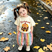 ����ʺ�ѝ�����b���ɐ۶���2026���¿�h�������w�����ļ����b