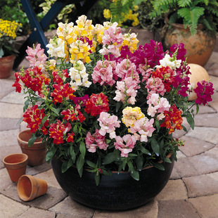 ���~�� �������^�����N���̨���N�����׷N�׻�^�����^��ֲ��