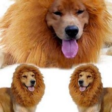 2024款厂家批发时尚狗秒变狮子大码棕色有耳头套搞怪搞笑宠物帽子