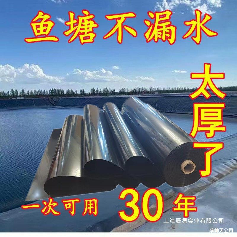 鱼塘防渗膜加厚土工膜防水布蓄水池防渗水护坡防漏专用黑色塑料布