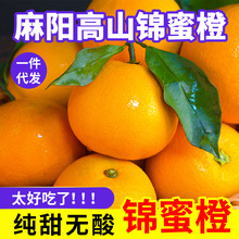 锦蜜冰糖橙湖南麻阳冰糖橙当季甜橙纯甜新鲜水果薄皮现摘多汁橙子