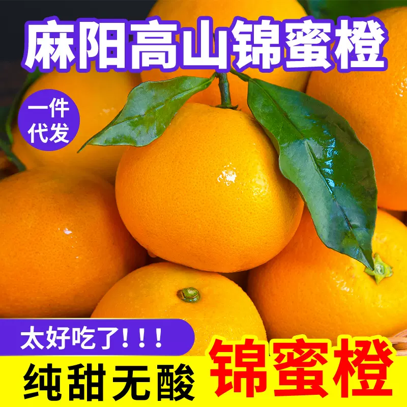 锦蜜冰糖橙湖南麻阳冰糖橙当季甜橙纯甜新鲜水果薄皮现摘多汁橙子