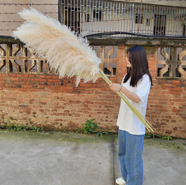 E6X{P1{`CCU1{ONWIV_FWCP