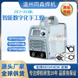 家用款迷你电焊机工业级手持套装220V380V两用纯铜便捷式便携