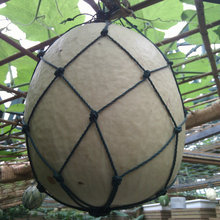 �F؛�������ϾW �S����ϝO�W ���J�����������pe���o�W���l�r��