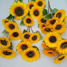 ���滨���տ�̫ꖻ���c�ҾӾƵ�����b�С�ѻ��ٻ������S�����l