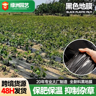 ��ɫ��Ĥ�r�÷N�ˈ@���ر�����L�ݹ���Nֲ���ݼӺ��ϻ�pe��Ĥ