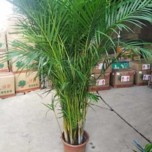 ����ɢβ�����������������Pβ���҃Ȼ��ܾGֲ����Ҭ�Ӵ��Ϳ͏d��