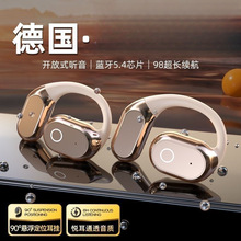 2025�¿���ǂ���AI�����|�_��ʽ�{�����C�Α��L�m���֙Cͨ