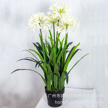 ������ˮ��ˮ�ɻ�����С�����쾰����ˮ�ɷ��滨�Ҿ��b[�����l