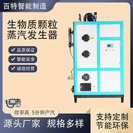 百特大型蒸汽机生物质颗粒蒸汽发生器道高温蒸煮服装熨烫0.3T中端