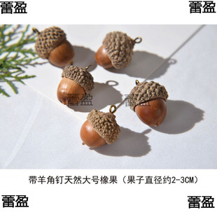 ��������Ǻ�DIY������Ȼ��������ɹ����