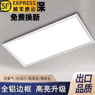 Lei Shiji Integrated Ceiling Led Light Kitchen Light Flat Light Bathroom Embedded Rectangular 300X600 Ceiling