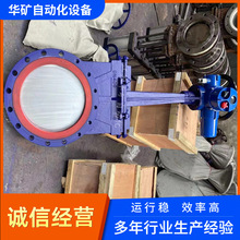 �۰���늄ӵ��l�y PZ973N-10C DN800��ڏ���ĥ�����y �ܷ�ɸ��Q