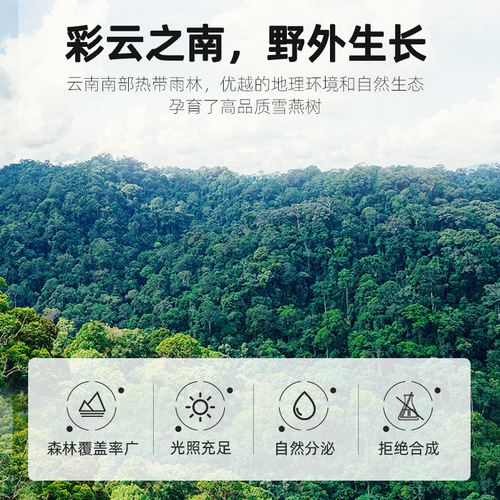 [Qilixiang] Snow Swallow 35g canned Yunnan Brushed Snow Swallow can be paired with peach gum saponin rice