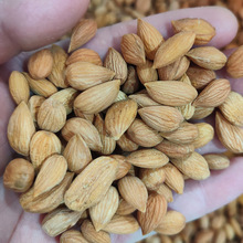 ���� ��Ƥ��������������Ȼԭζ�˹����x�o��o�s���l���l