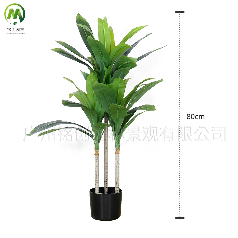 Planta verde de simulación de piso a gran escala, árbol de hierro rojo, madera brasileña, decoración interior, planta de simulación, hierro brasileño de borde amarillo