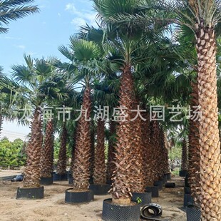 �㽭���˿���r ���K�Aʢ�D�ؙ�  �������˿��r�� �Ϻ��A�����l