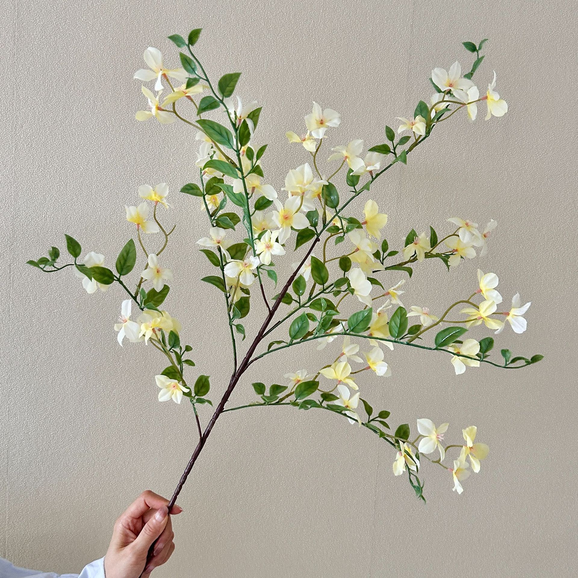 El amarillo de Qixiang