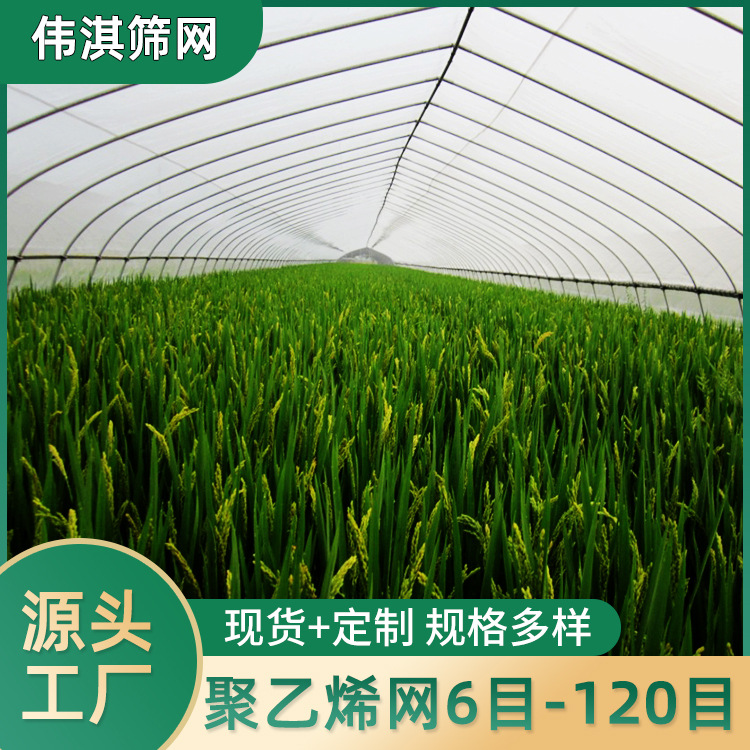 现货供应农用乙烯筛网 大棚专用白色防尘网 防虫网