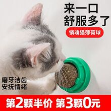 猫薄荷球猫玩具自嗨磨牙逗猫神器棒棒糖舔乐逗猫棒耐咬猫咪玩迪贸