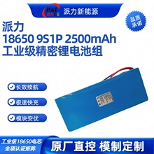 派力工业设备专用锂电池 32.4V 2.5Ah 9S1P18650电芯医疗仪器专用