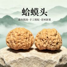 涞水精品山地老树蛤蟆头麻核桃盘玩把玩收藏级别手把件新年礼物QW