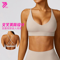 欧米の春のタイトな毛の美しい背中のヨガの服のランニングの防振運動のブラジャーの速乾のフィットネスのベストの女性の8552
