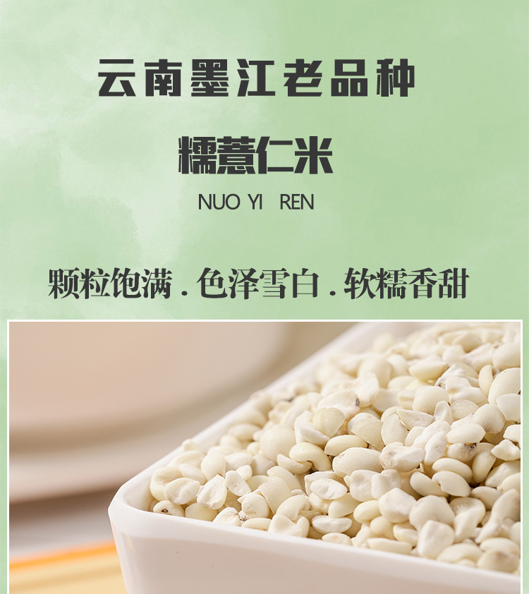 Yunnan Old Variety Coix Seed Broken Job's Tears Mojiang Glutinous Coix Grain 500g specifications