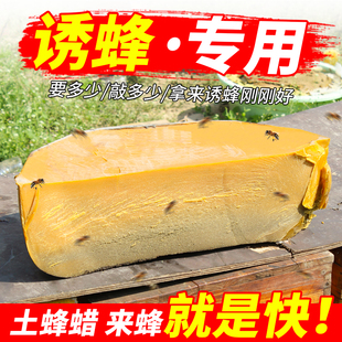 Beeswax, honey wax, beekeeping, natural beekeeping, honeycombs, honeycombs, old hives, spleens, bees, bulk wax blocks