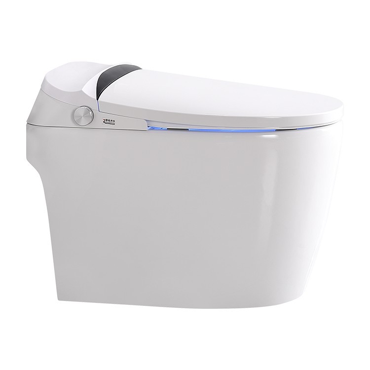 Pequeño apartamento de inducción automática horizontal inodoro eléctrico de calentamiento instantáneo inodoro inteligente Versión estándar